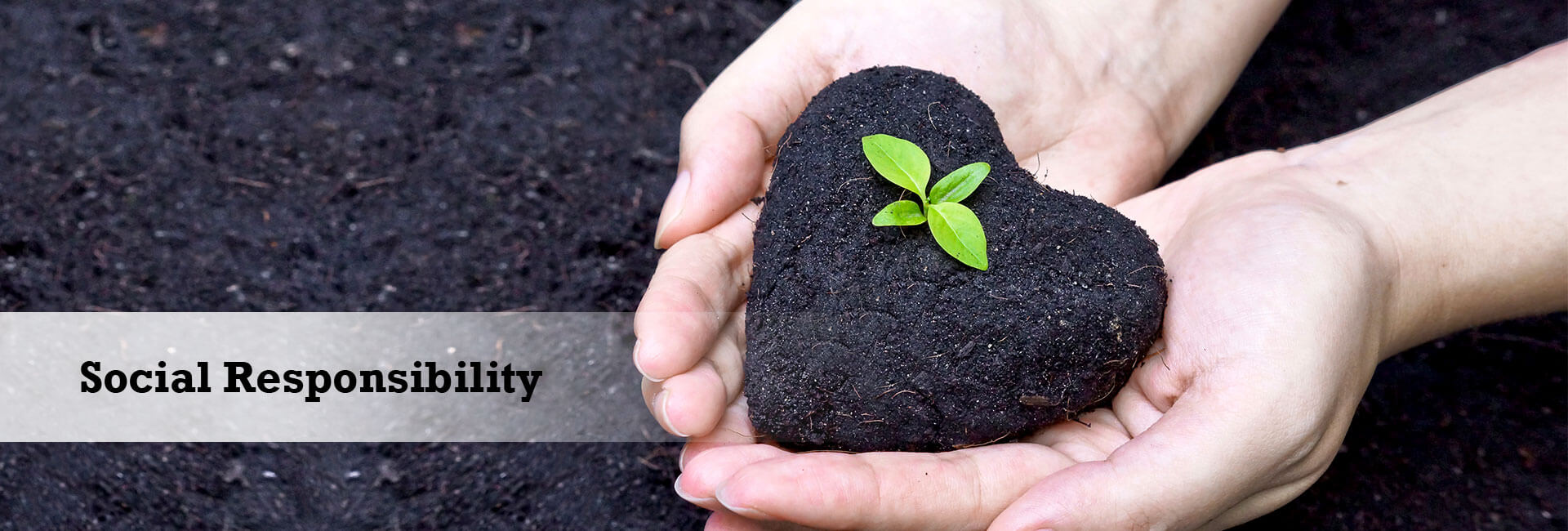 Social Responsibility